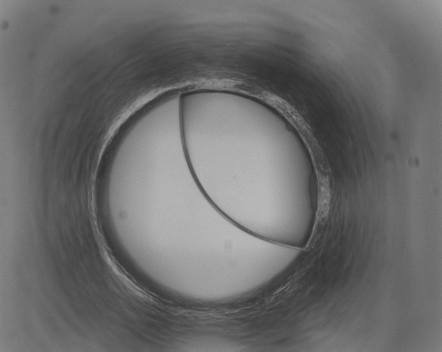 X0000084540726200703091653