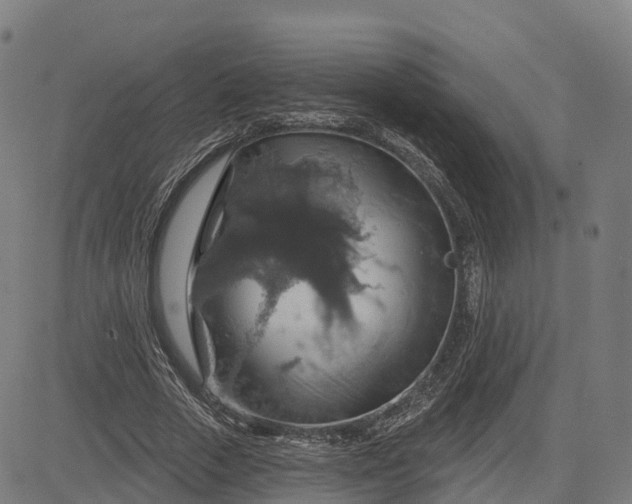 X0000084540729200703091653