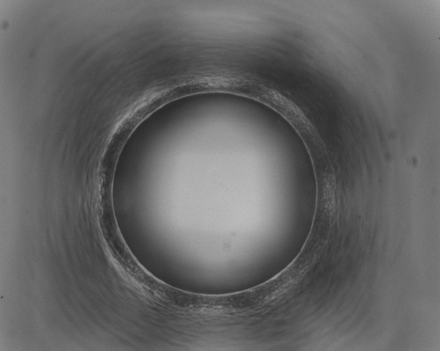 X0000084540730200703091653