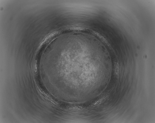 X0000084540731200703091653