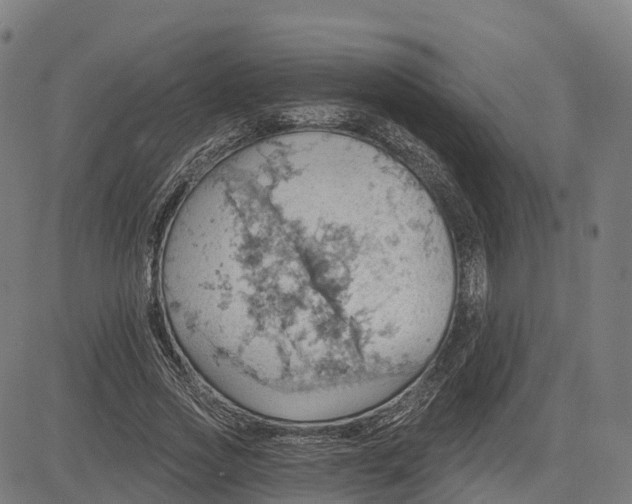 X0000084540733200703091653