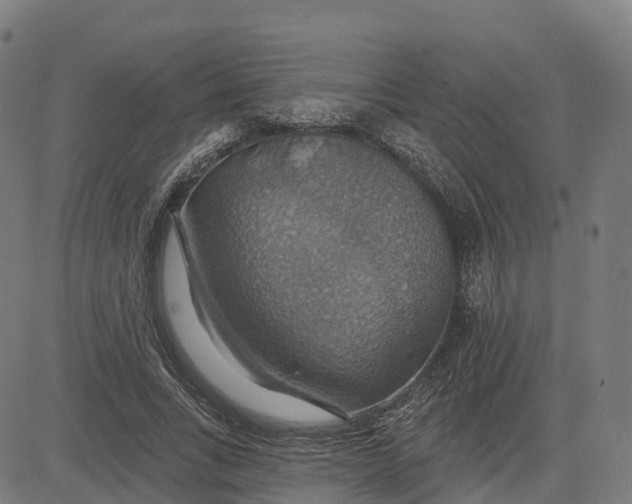 X0000084540735200703091653