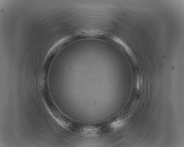 X0000084540736200703091653