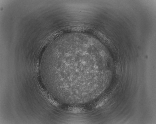 X0000084540737200703091653