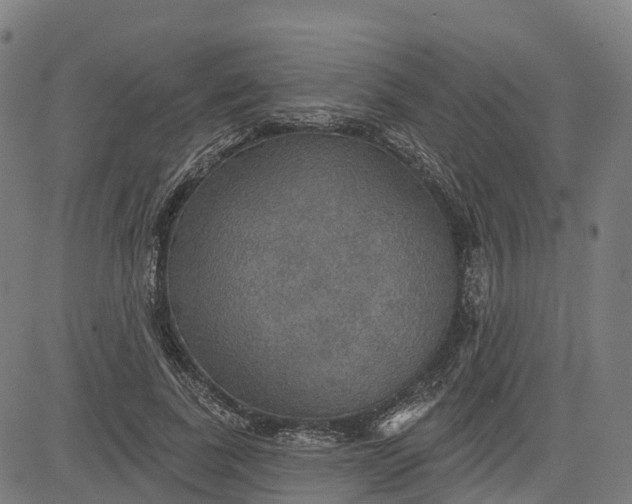 X0000084540739200703091653