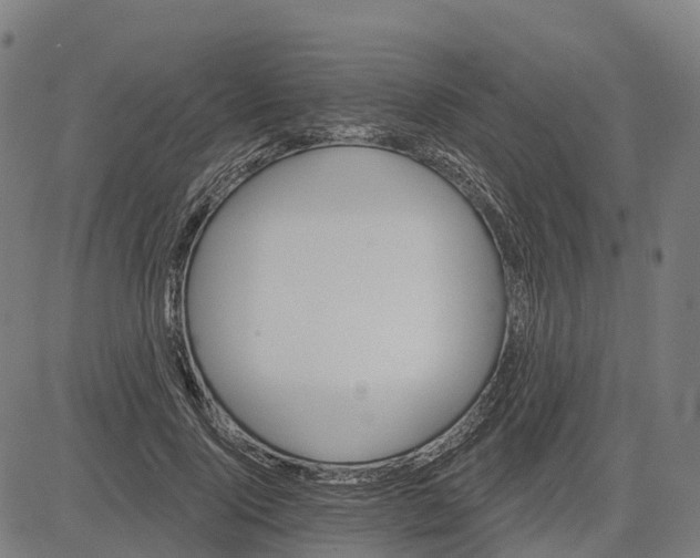 X0000084540740200703091653