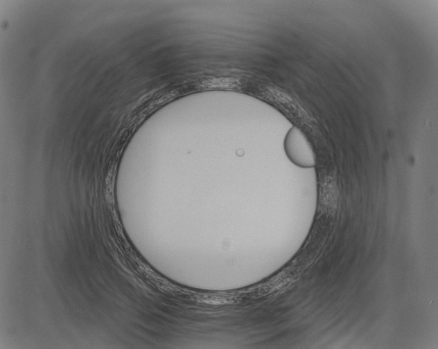 X0000084540741200703091653