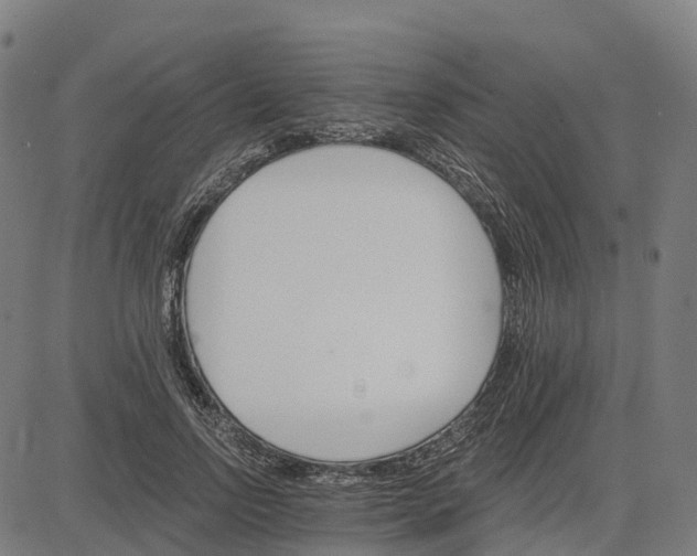 X0000084540742200703091653