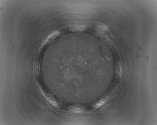 X0000084540743200703091653