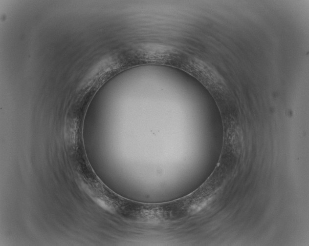 X0000084540744200703091653