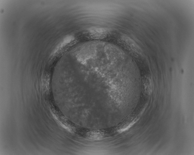 X0000084540745200703091653