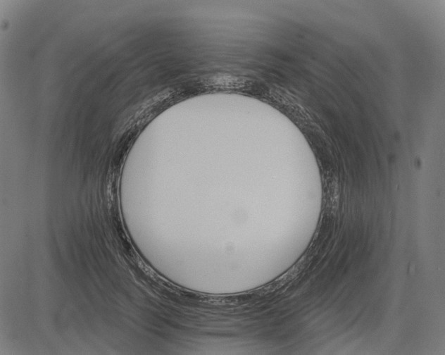 X0000084540746200703091653