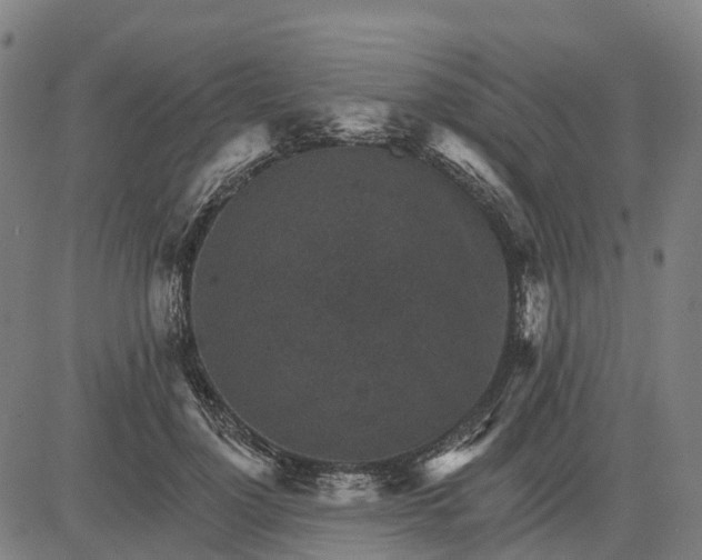 X0000084540748200703091653