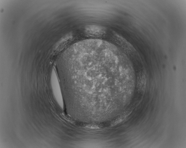 X0000084540749200703091653