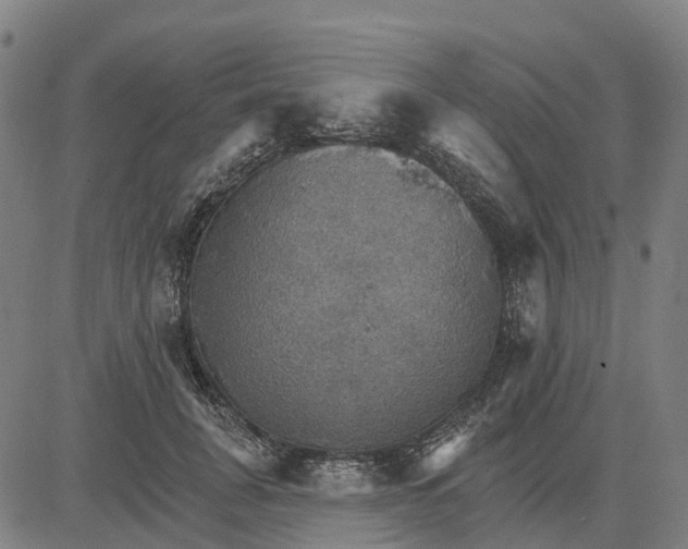 X0000084540751200703091653