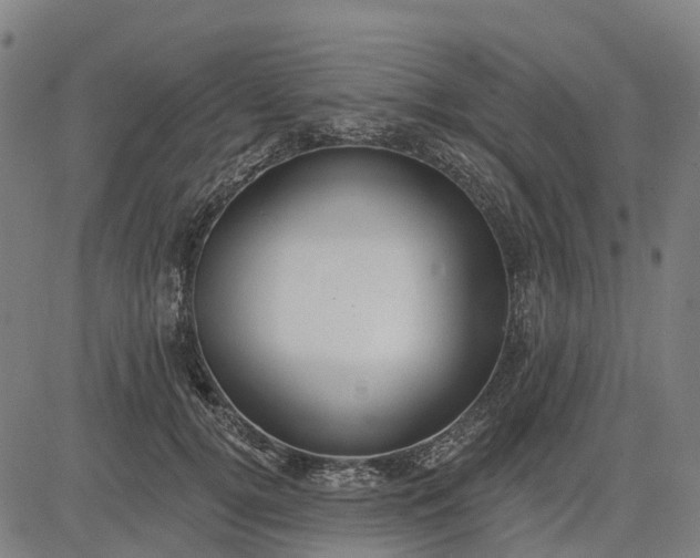 X0000084540752200703091653