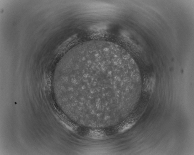 X0000084540753200703091653