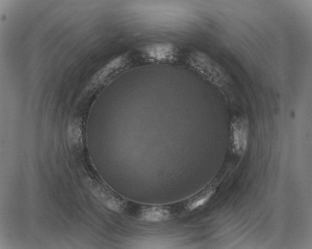 X0000084540754200703091653