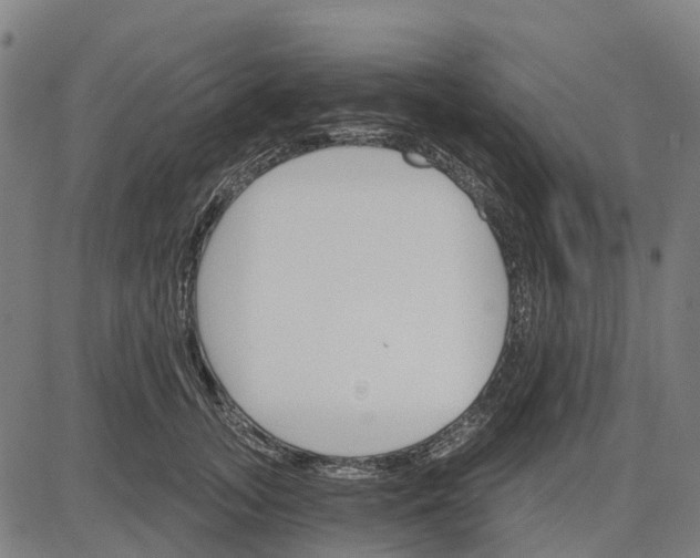 X0000084540755200703091653