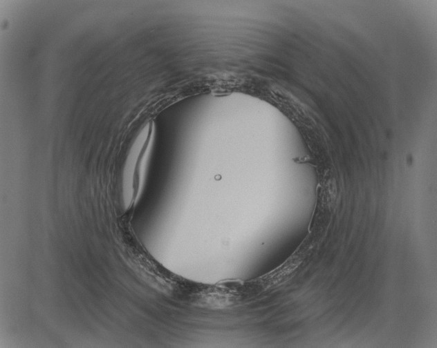 X0000084540756200703091653