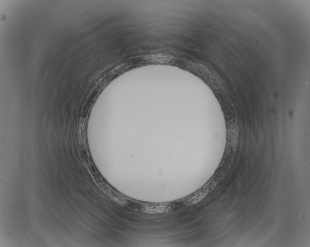 X0000084540757200703091653