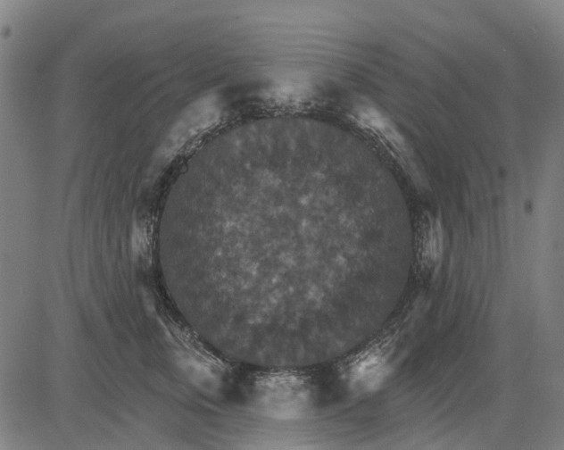 X0000084540759200703091653