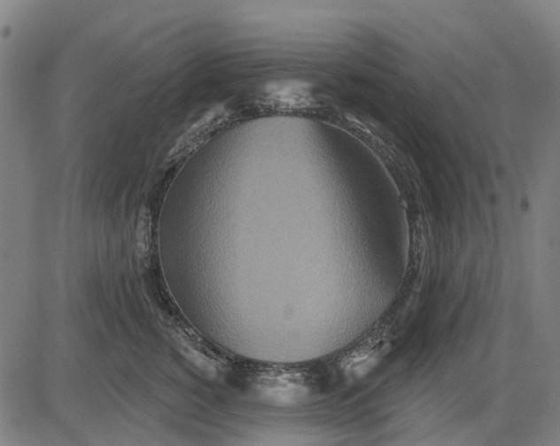 X0000084540760200703091653