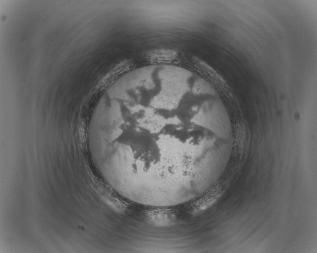 X0000084540761200703091653