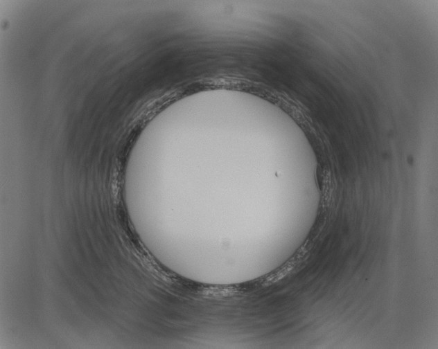 X0000084540762200703091653