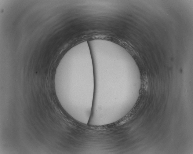 X0000084540763200703091653