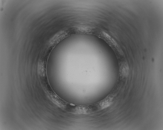 X0000084540764200703091653