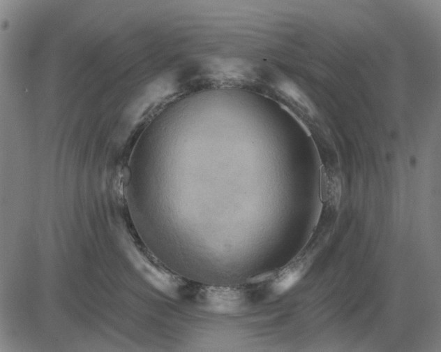 X0000084540766200703091653