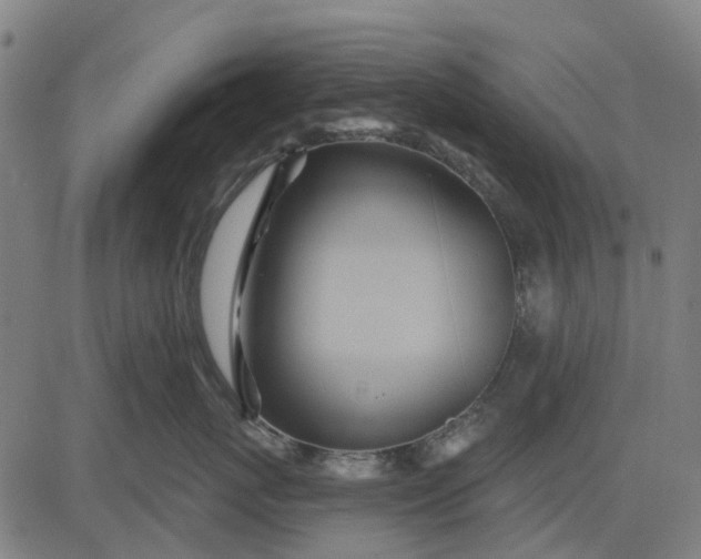 X0000084540767200703091653