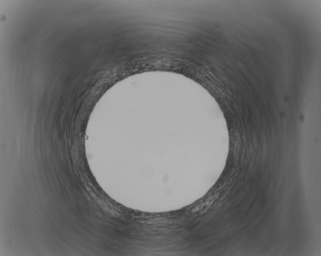 X0000084540769200703091653