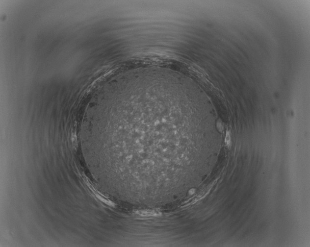 X0000084540771200703091653