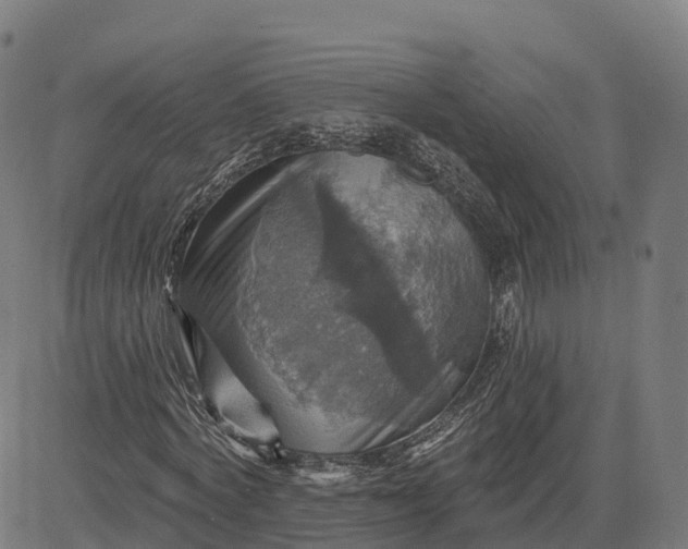 X0000084540772200703091653