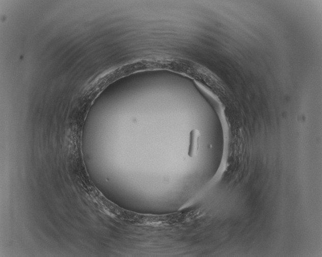 X0000084540773200703091653