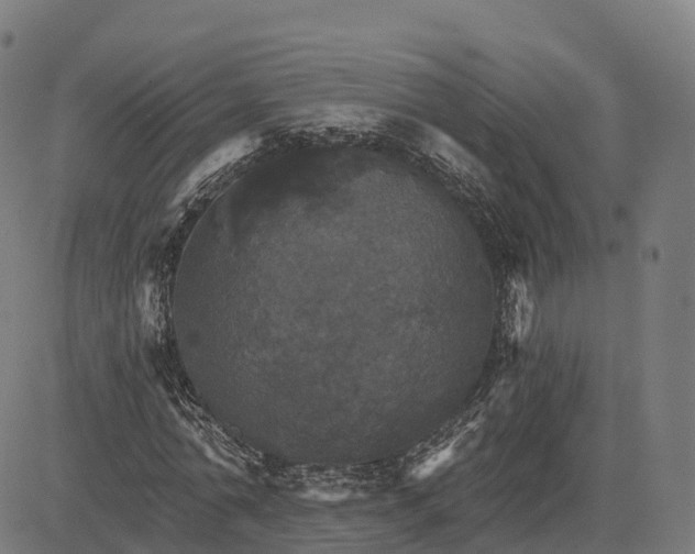 X0000084540774200703091653