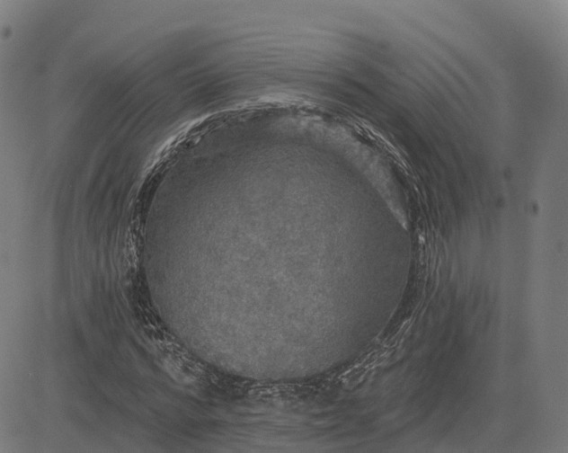 X0000084540776200703091653