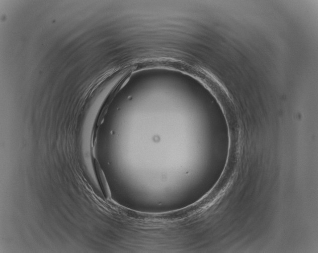 X0000084540777200703091653