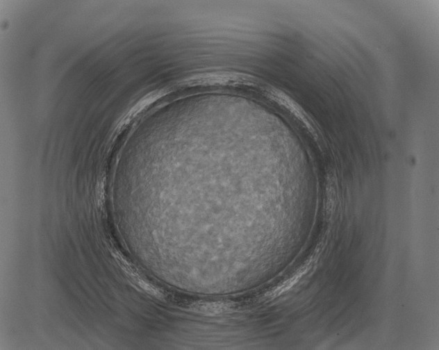 X0000084540778200703091653