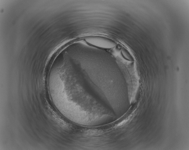 X0000084540779200703091653