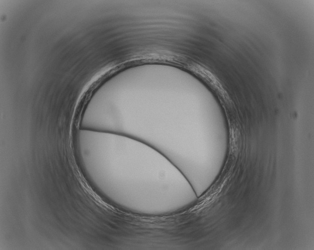 X0000084540780200703091653