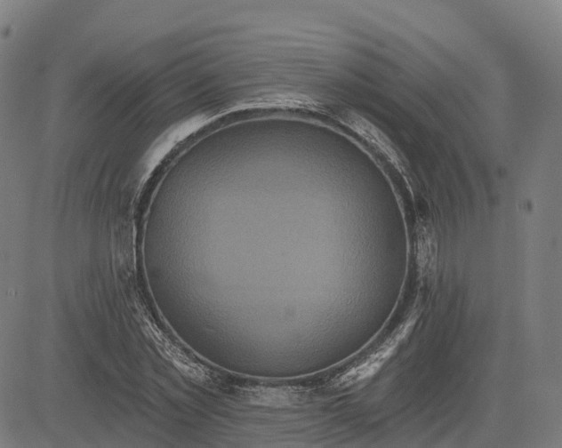 X0000084540781200703091652