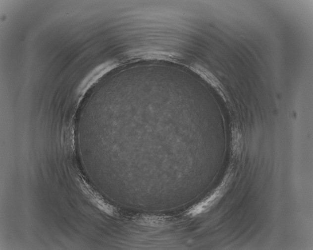 X0000084540782200703091652