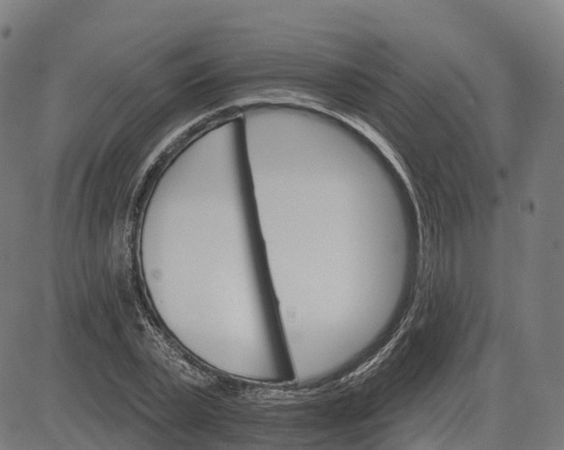 X0000084540783200703091652