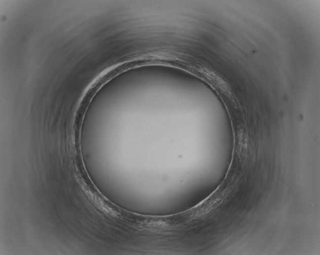 X0000084540784200703091652