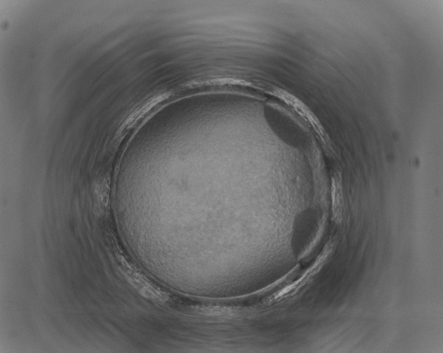 X0000084540785200703091652