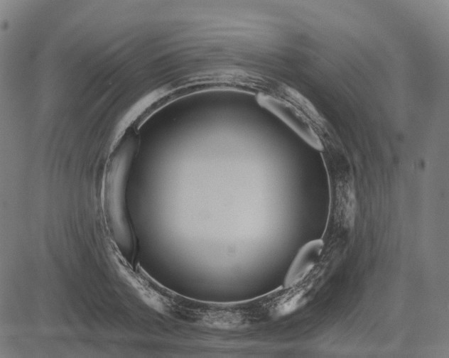 X0000084540788200703091652