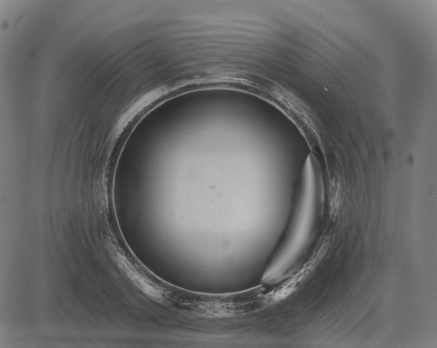 X0000084540789200703091652